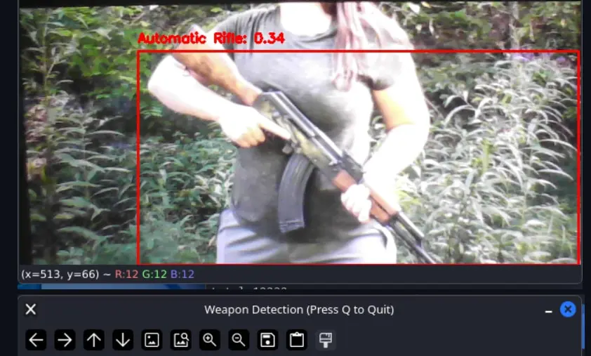 Weapon Detection System